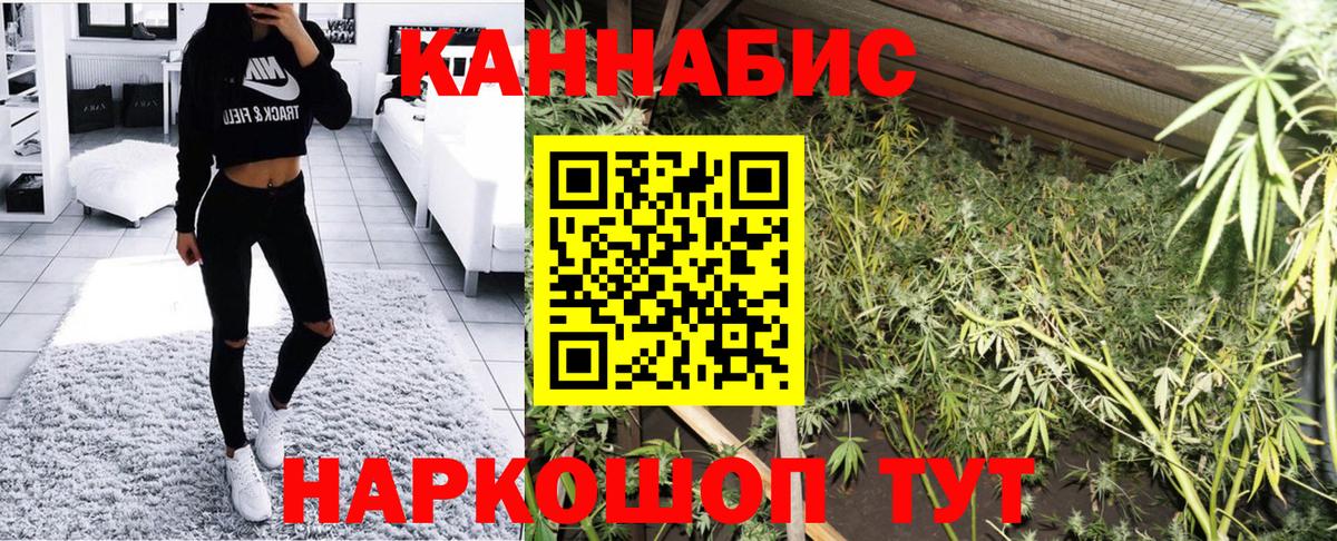 Конопля конопля Зеленогорск